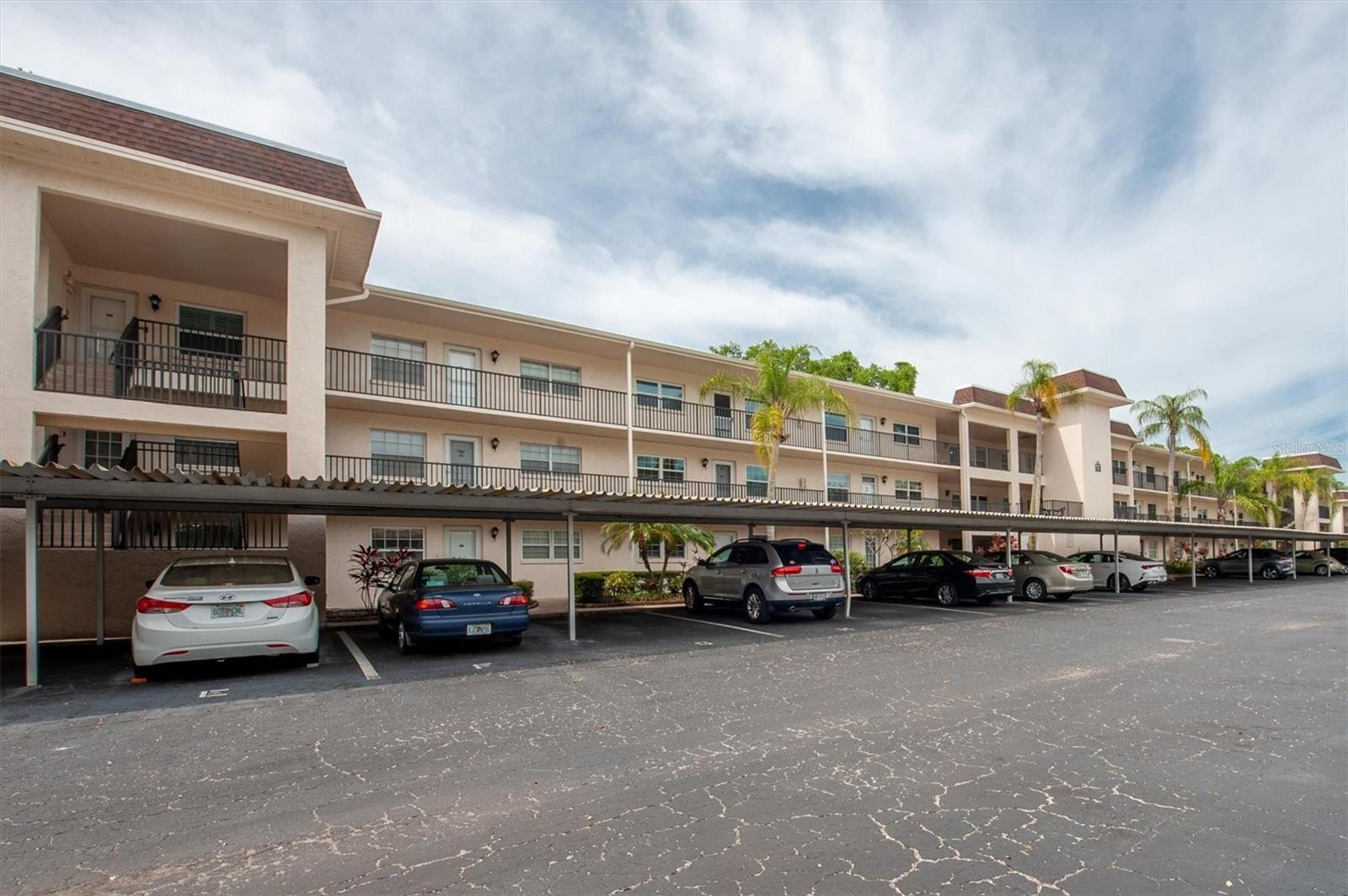 845 Maple Ct #103, Dunedin