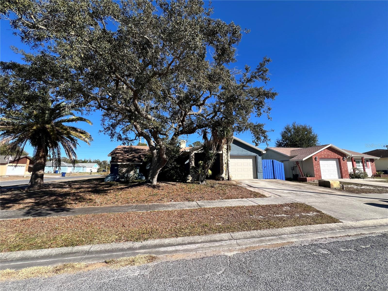 1338 Calamondin Dr, Holiday