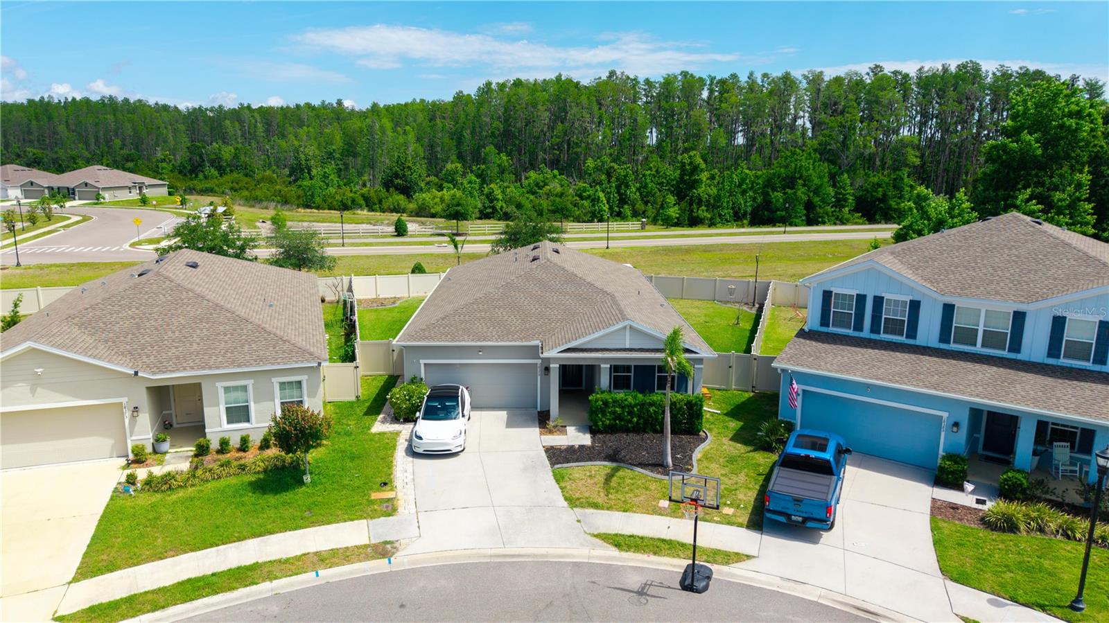 18379 Falling Pine Needle Ln, Land O Lakes