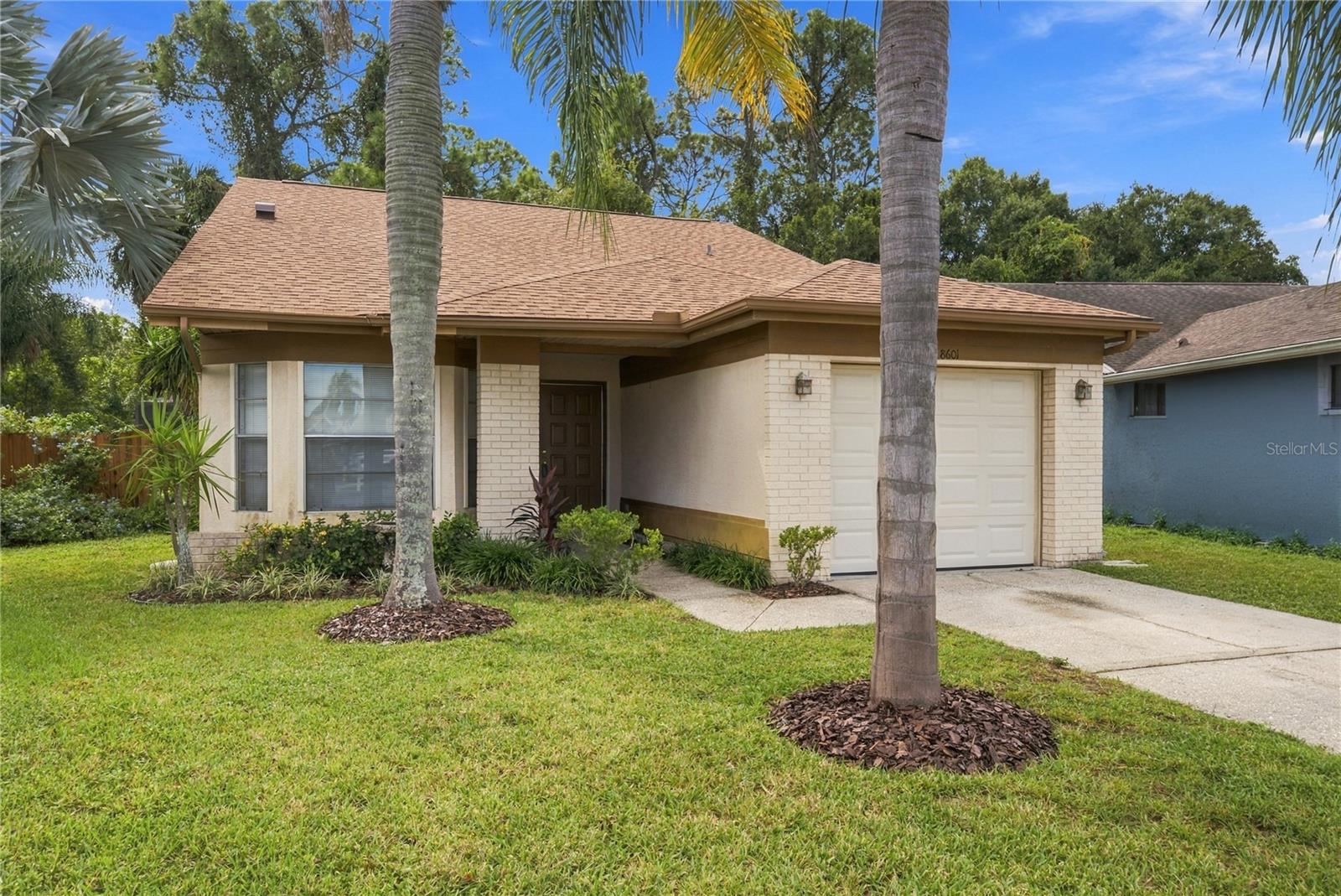 8601 Twin Farms Pl, Tampa