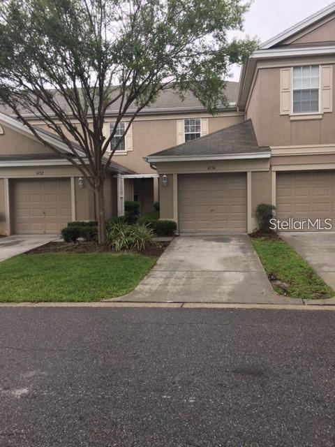 4134 Bismarck Palm Dr, Tampa