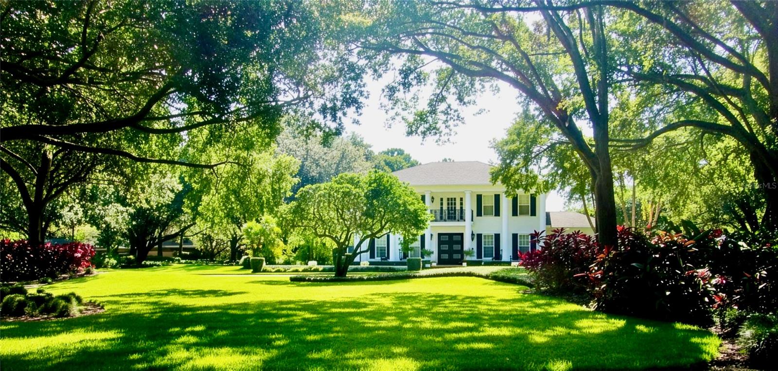 16203 Avila Blvd, Tampa