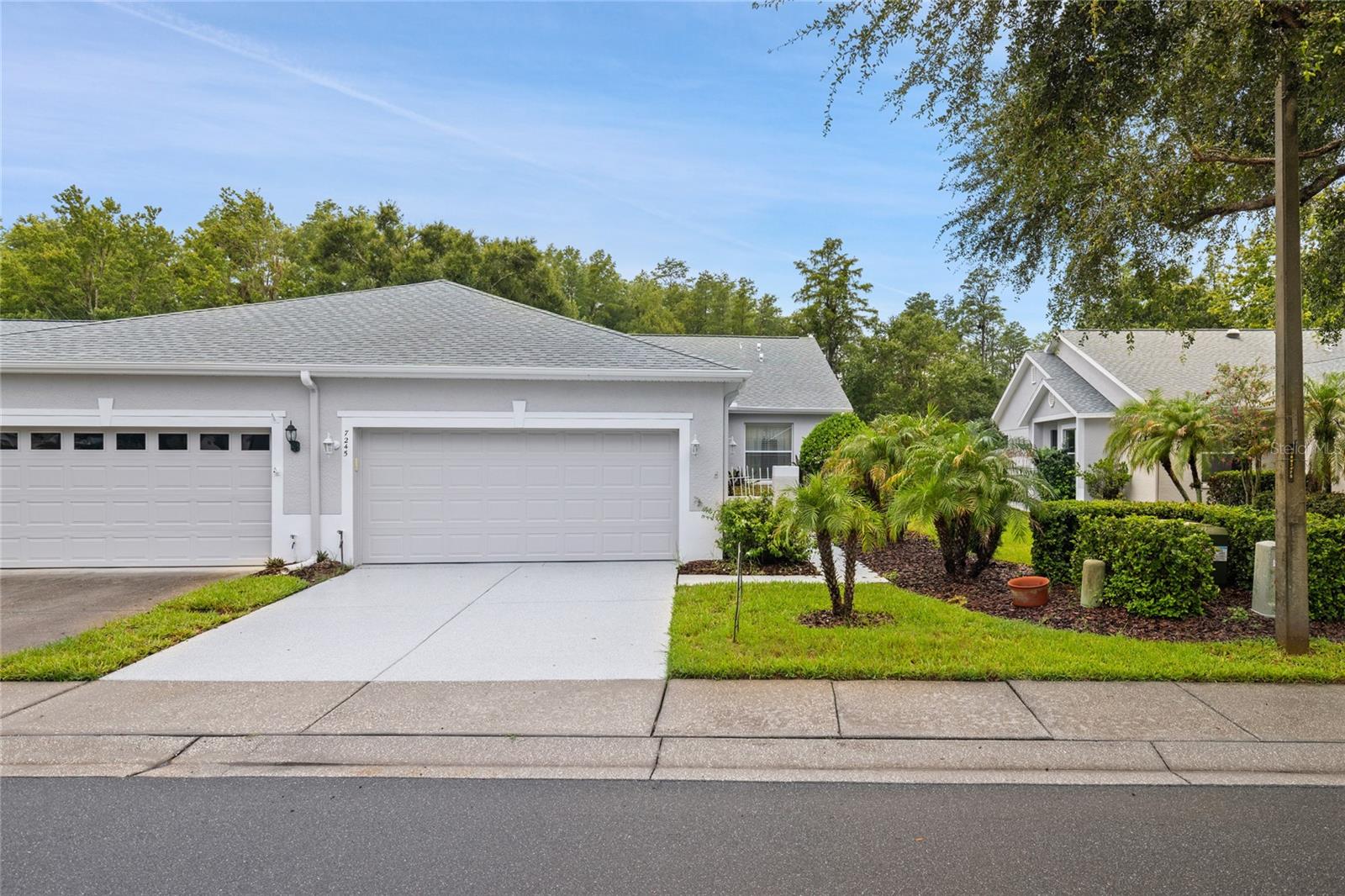 7245 Cleopatra Dr, Land O Lakes