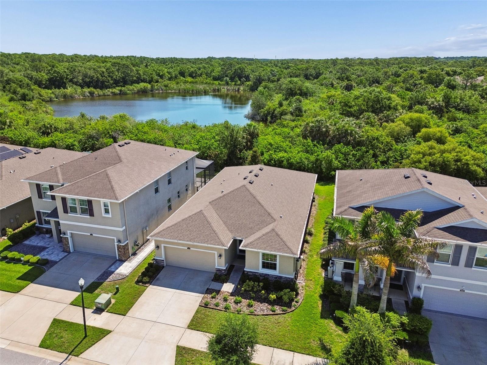 12507 Candleberry Cir, Tampa