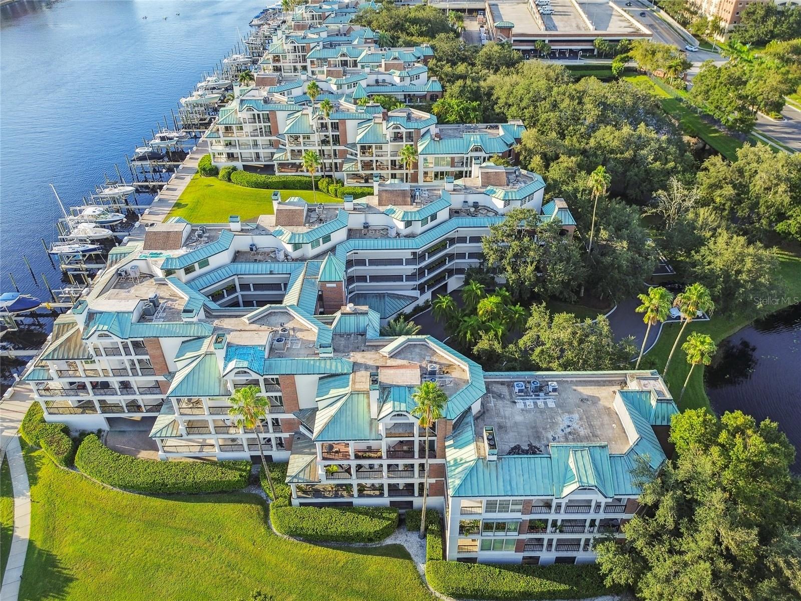 941 Seddon Cove Way, Tampa