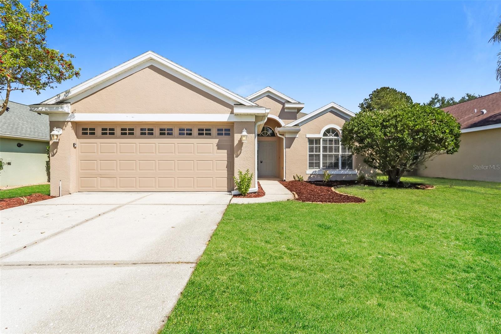 23211 Bayou Grove St, Land O Lakes