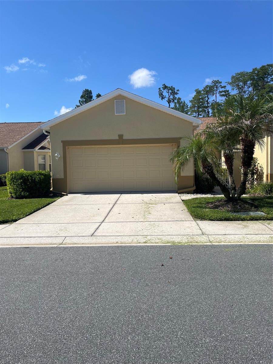 7211 Cleopatra Dr, Land O Lakes