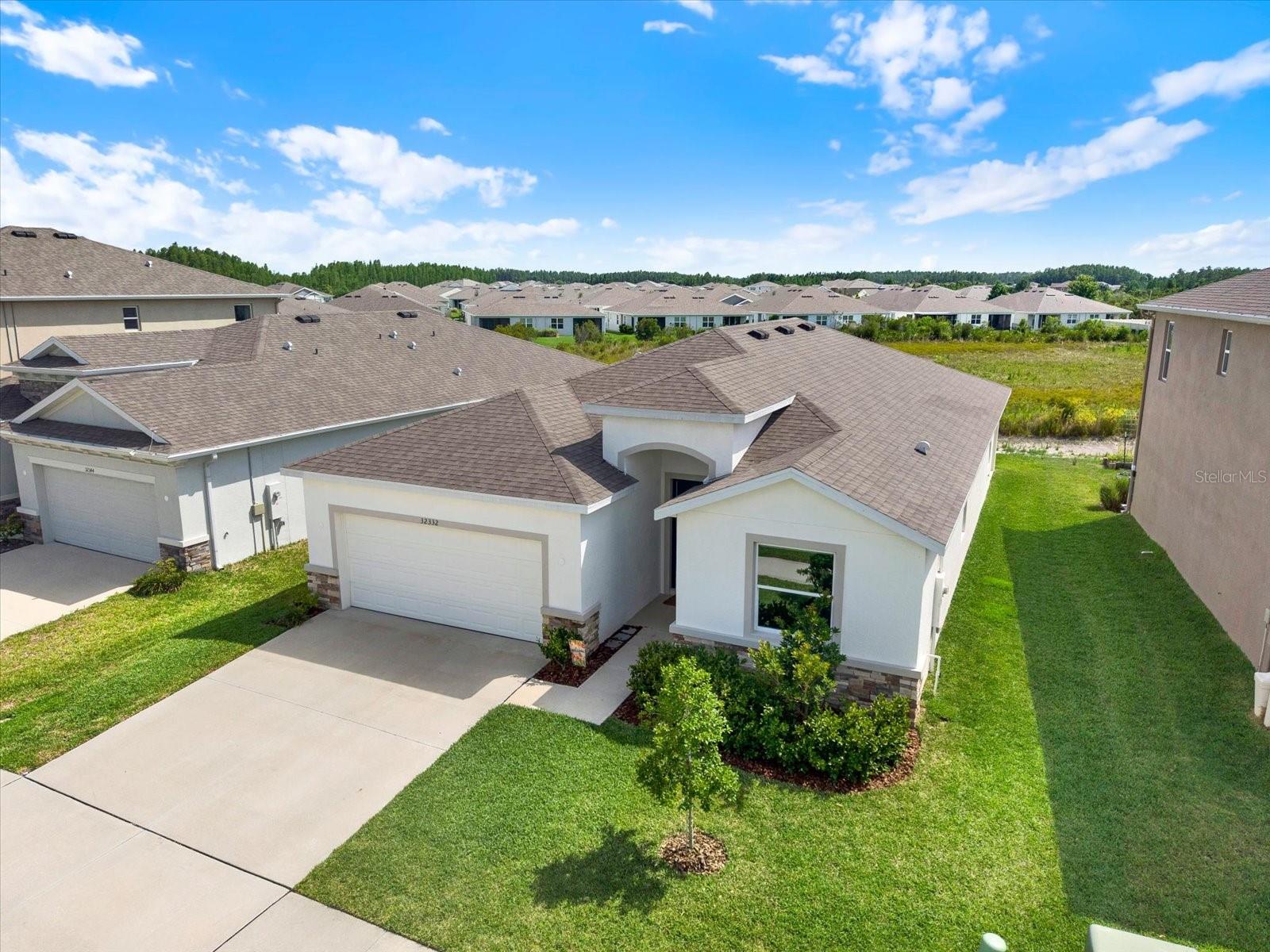 32332 Rosepine Blvd, Wesley Chapel