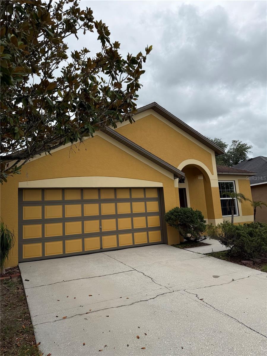 919 Grand Canyon Dr, Valrico