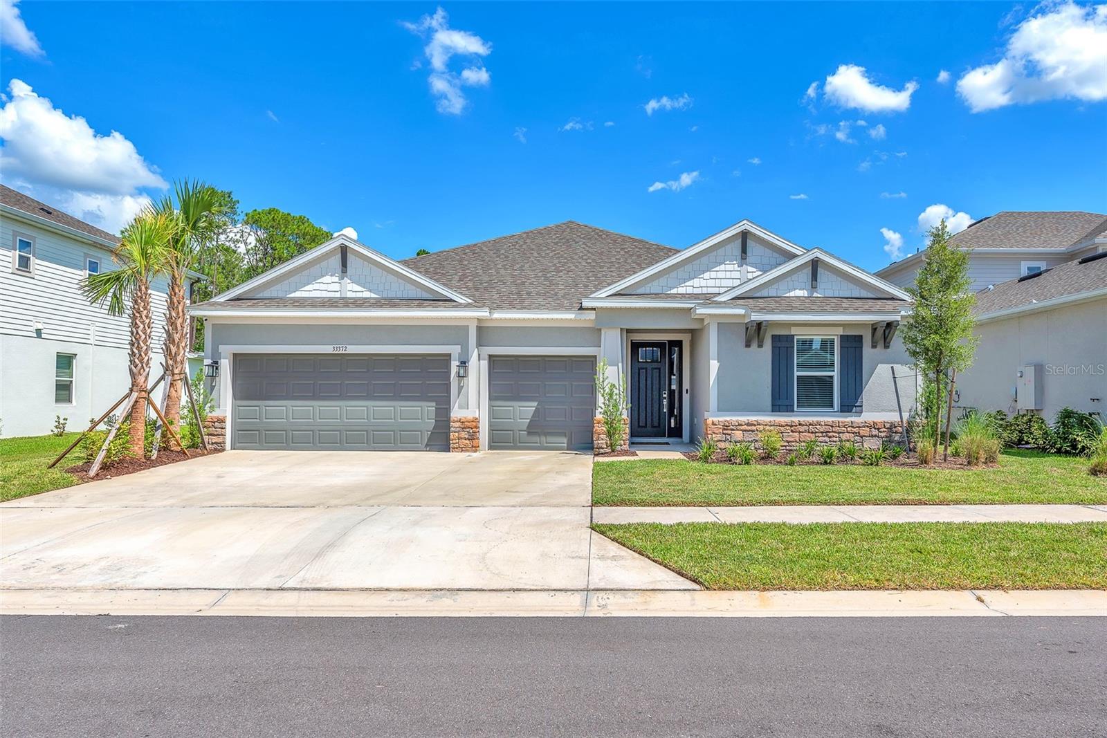 33372 Landsman Loop, Wesley Chapel