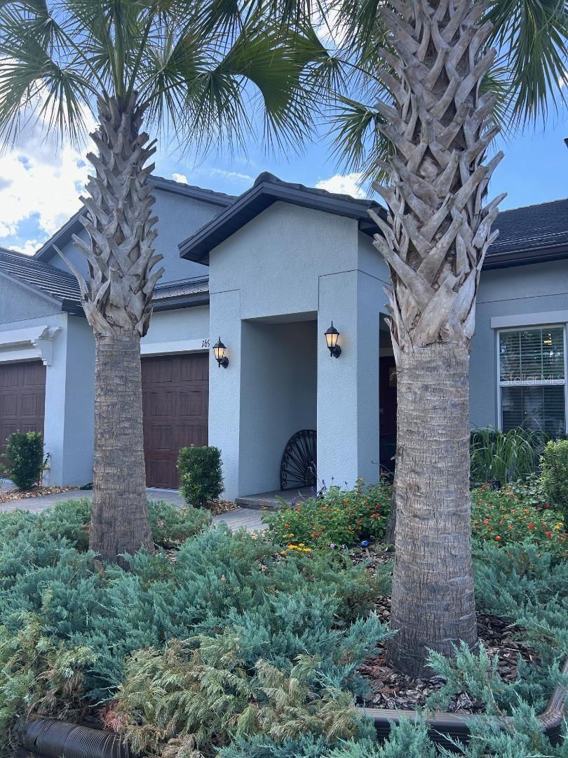 16919 Forge Surf St, Land O Lakes