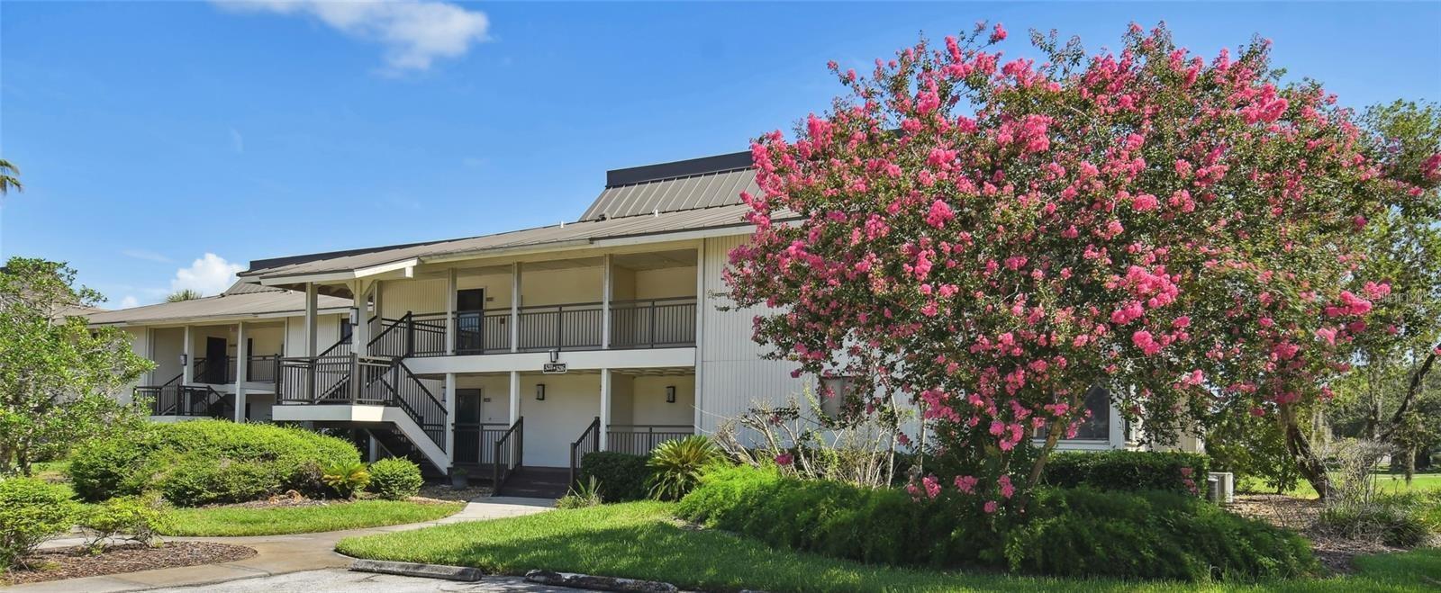 29129 Bay Hollow Dr #3212, Wesley Chapel