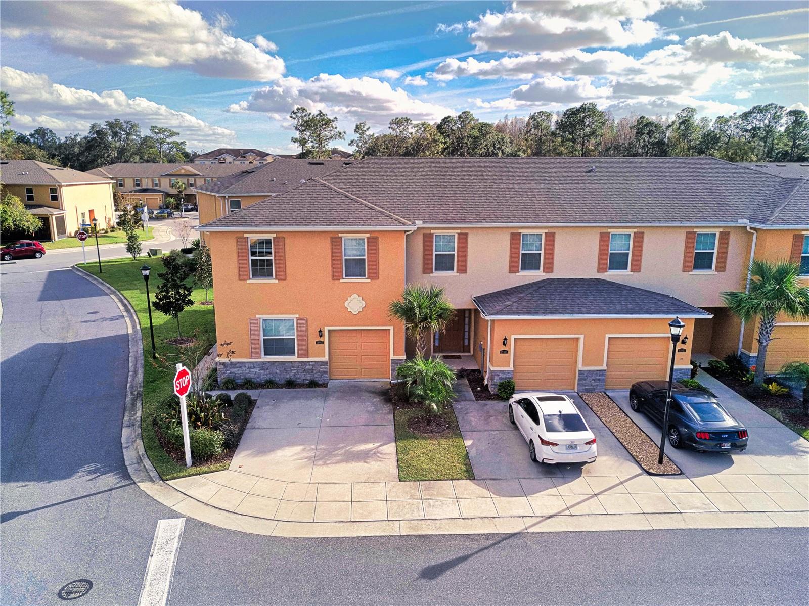 13967 River Willow Pl, Tampa