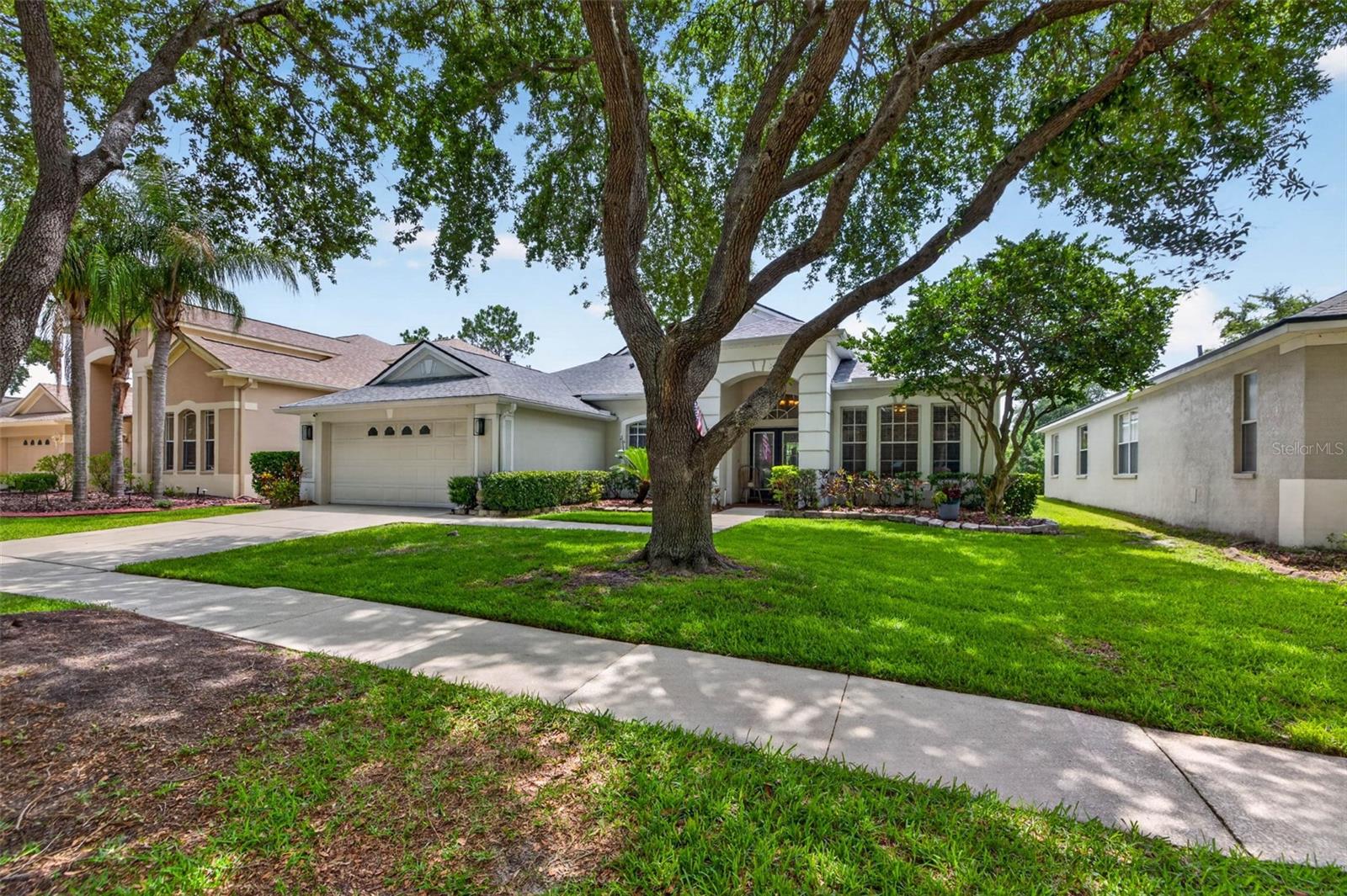18127 Heron Walk Dr, Tampa