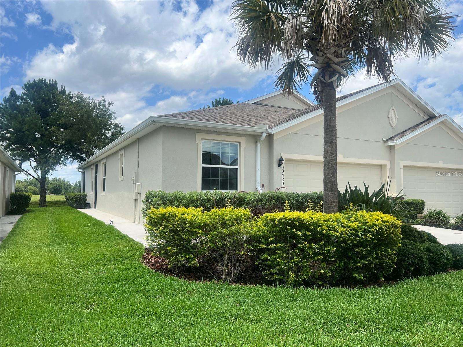 32995 Windelstraw Dr, Wesley Chapel