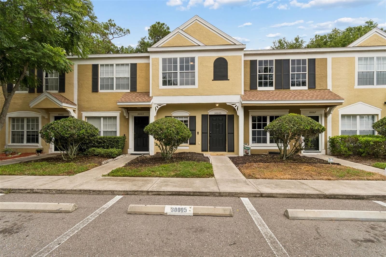 30005 Granda Hills Ct, Wesley Chapel
