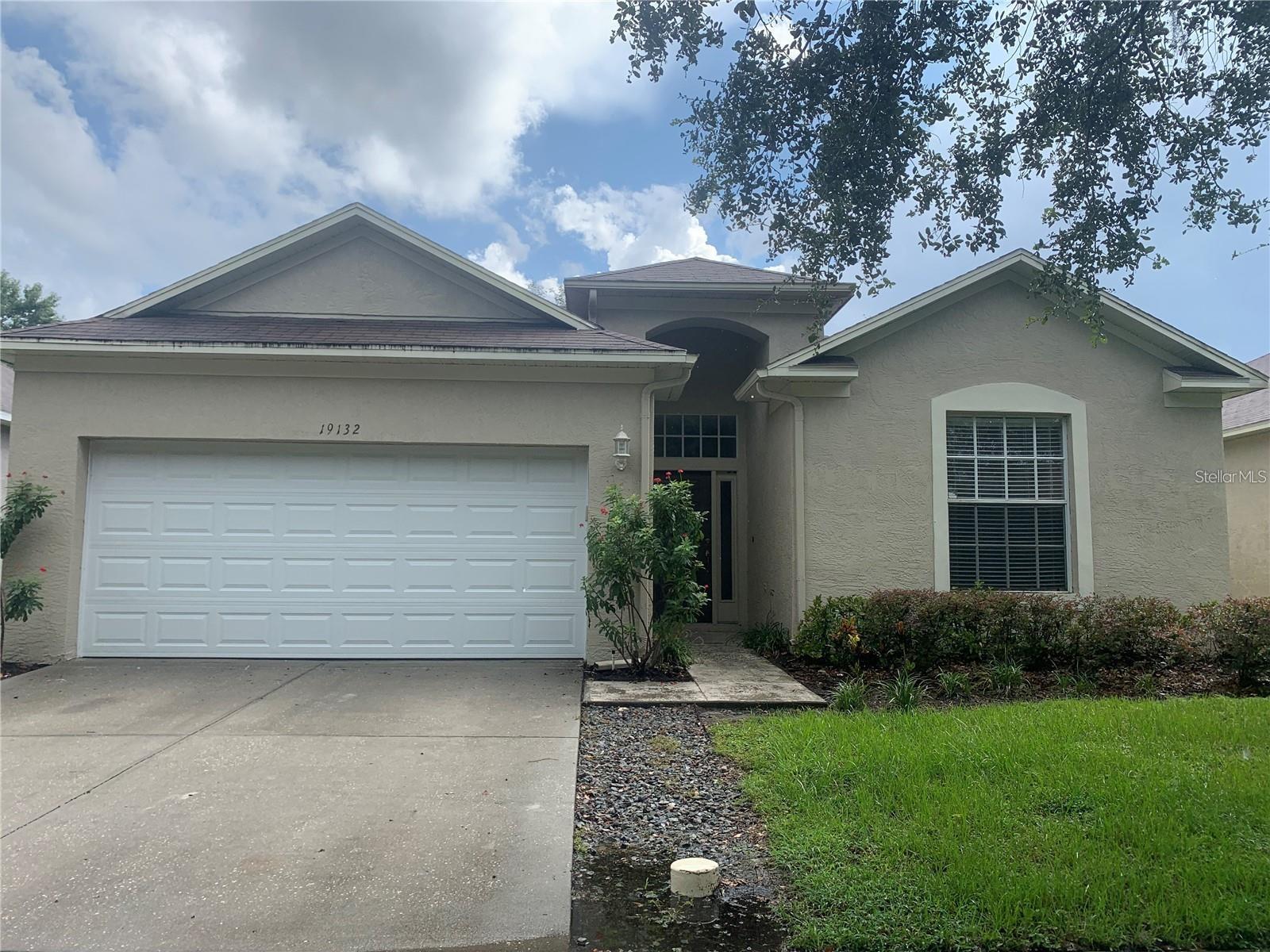 19132 Wood Sage Dr, Tampa