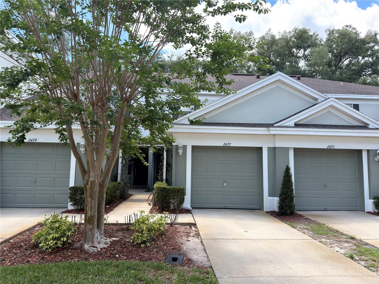 2437 Earlswood Ct, Brandon