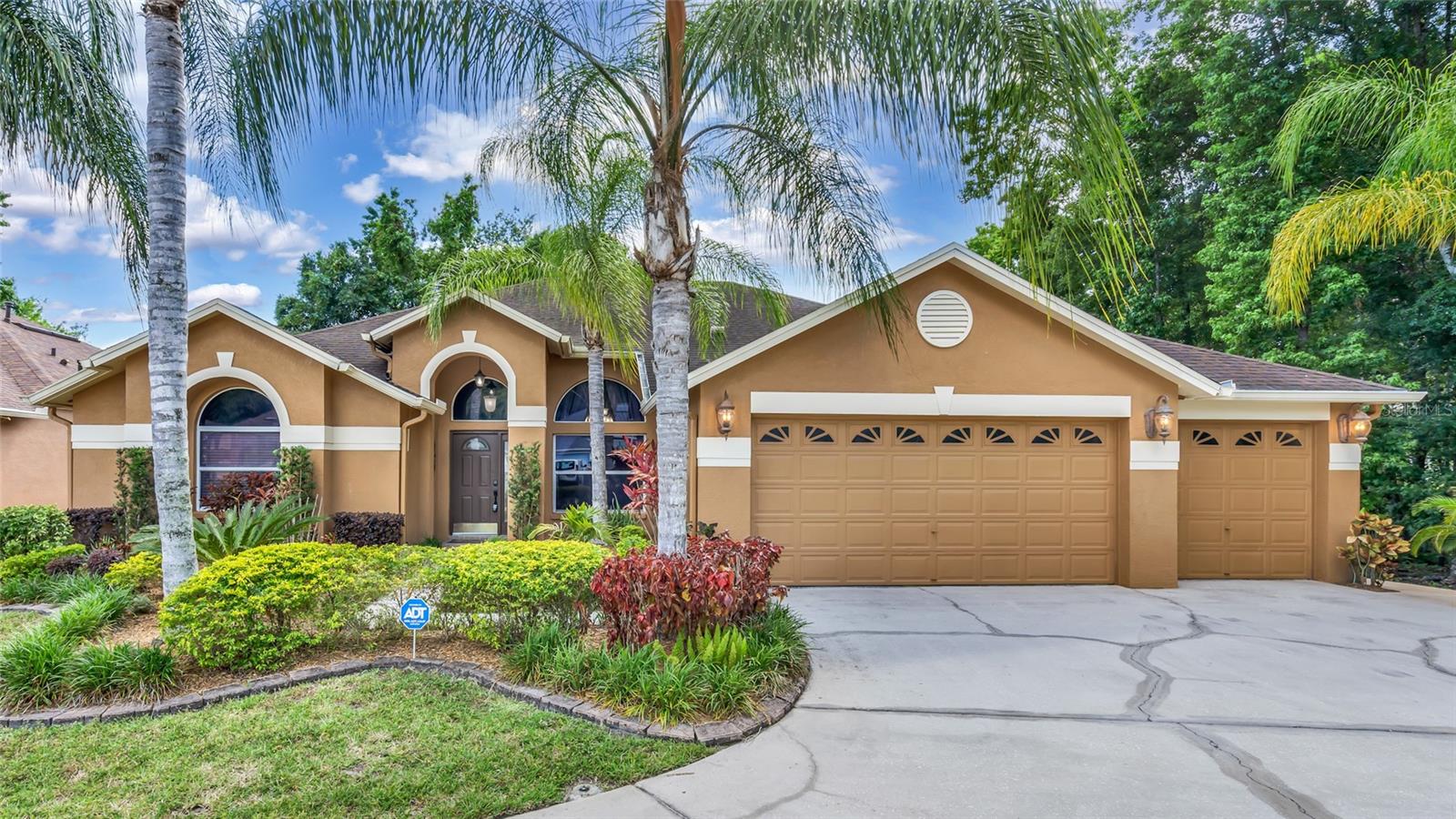 29135 Rivergate Run, Wesley Chapel