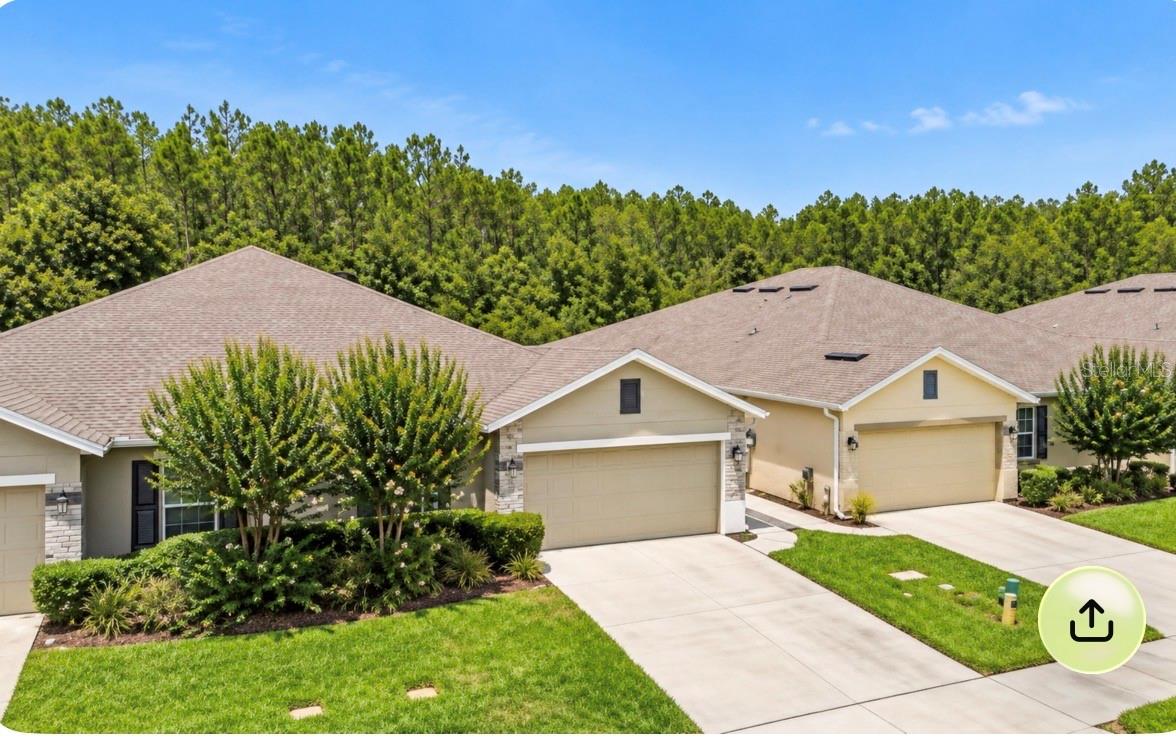 18307 Turning Leaf Cir, Land O Lakes