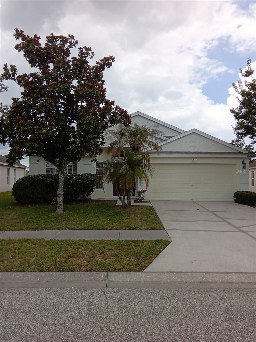 7733 Outerbridge St, Wesley Chapel