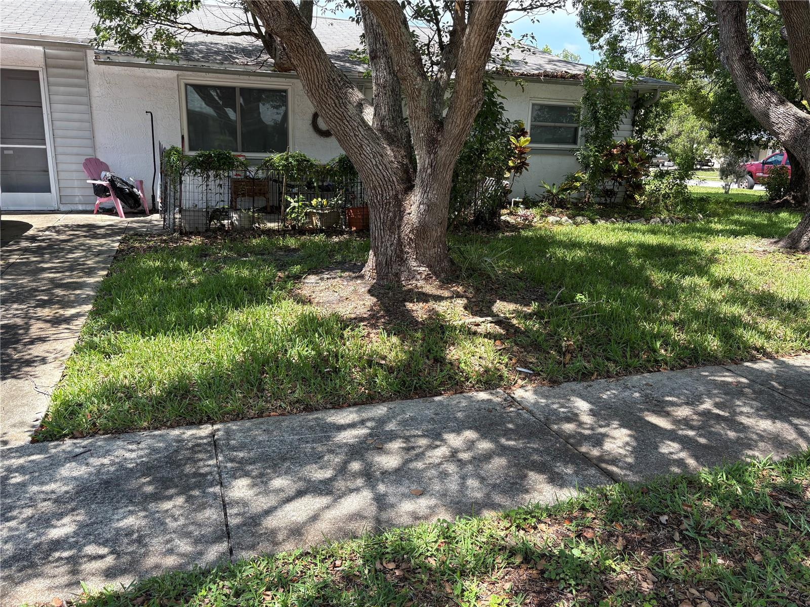 4147 Se Raccoon Loop, New Port Richey