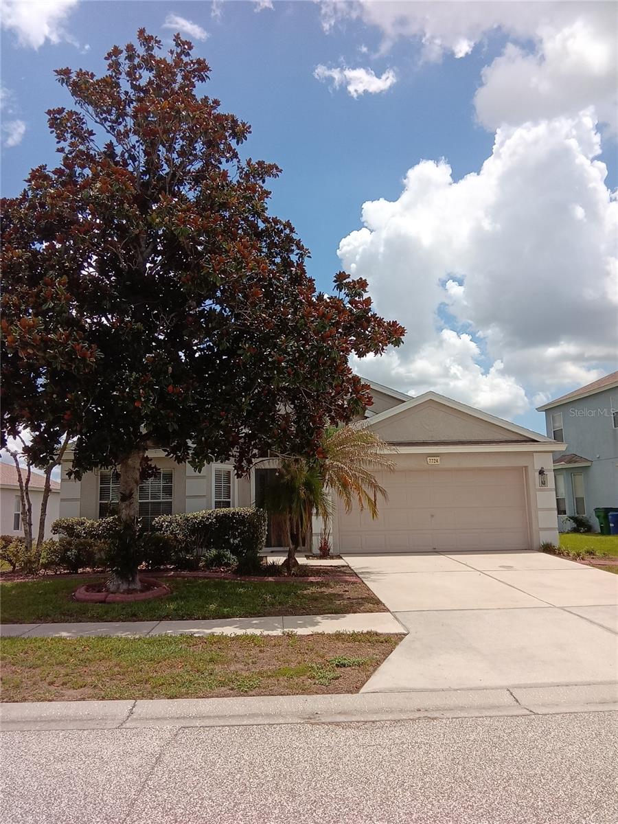 7724 Outerbridge St, Wesley Chapel