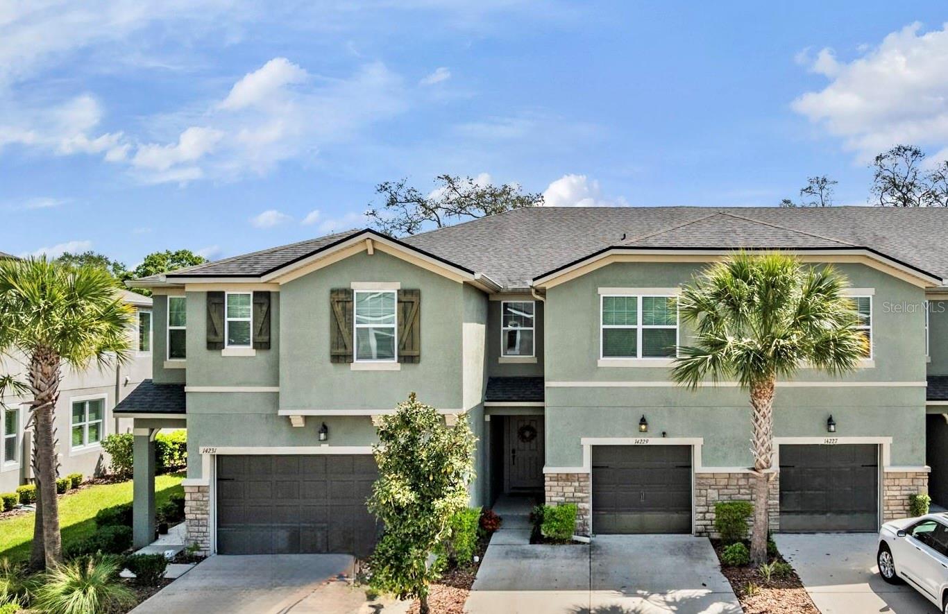 14229 Damselfly Dr, Tampa