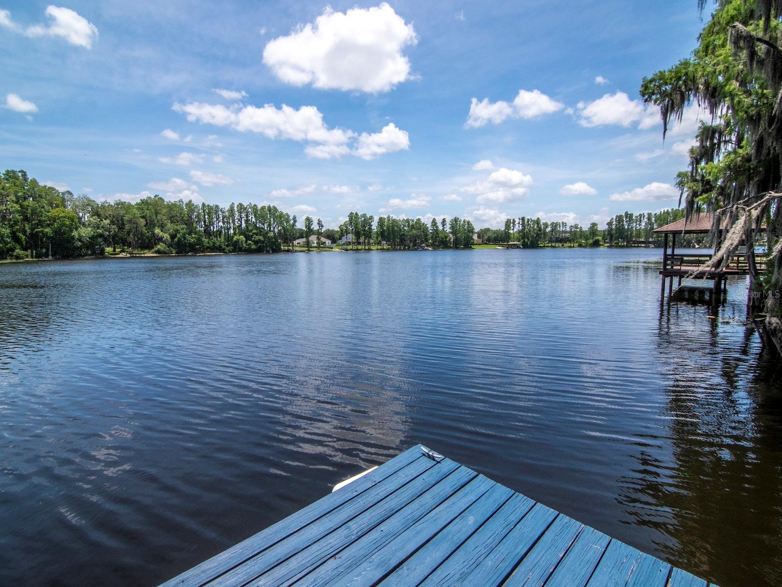 219 Willow Bend Pkwy, Lutz