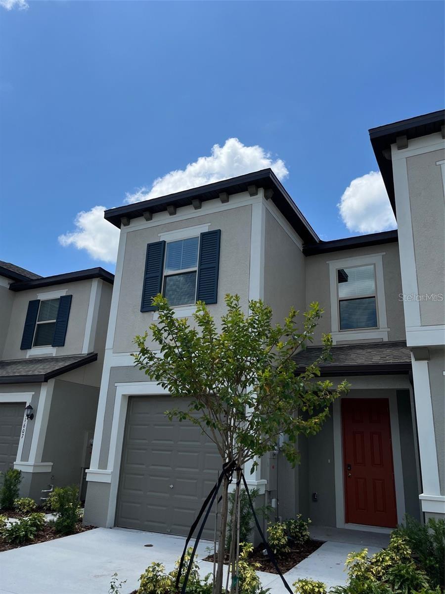 31611 Blue Passing Loop, Wesley Chapel