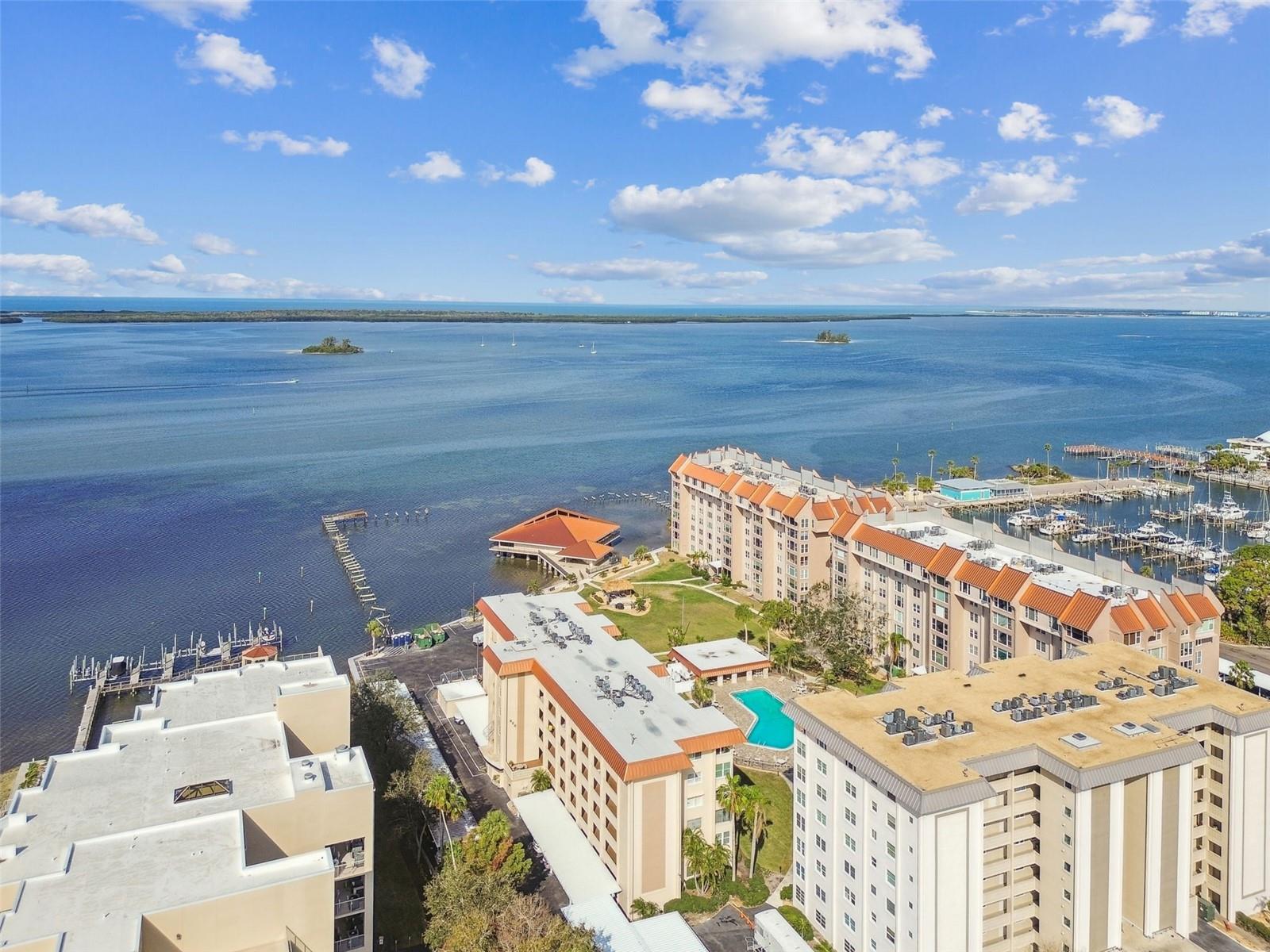 620 Edgewater Dr #204, Dunedin