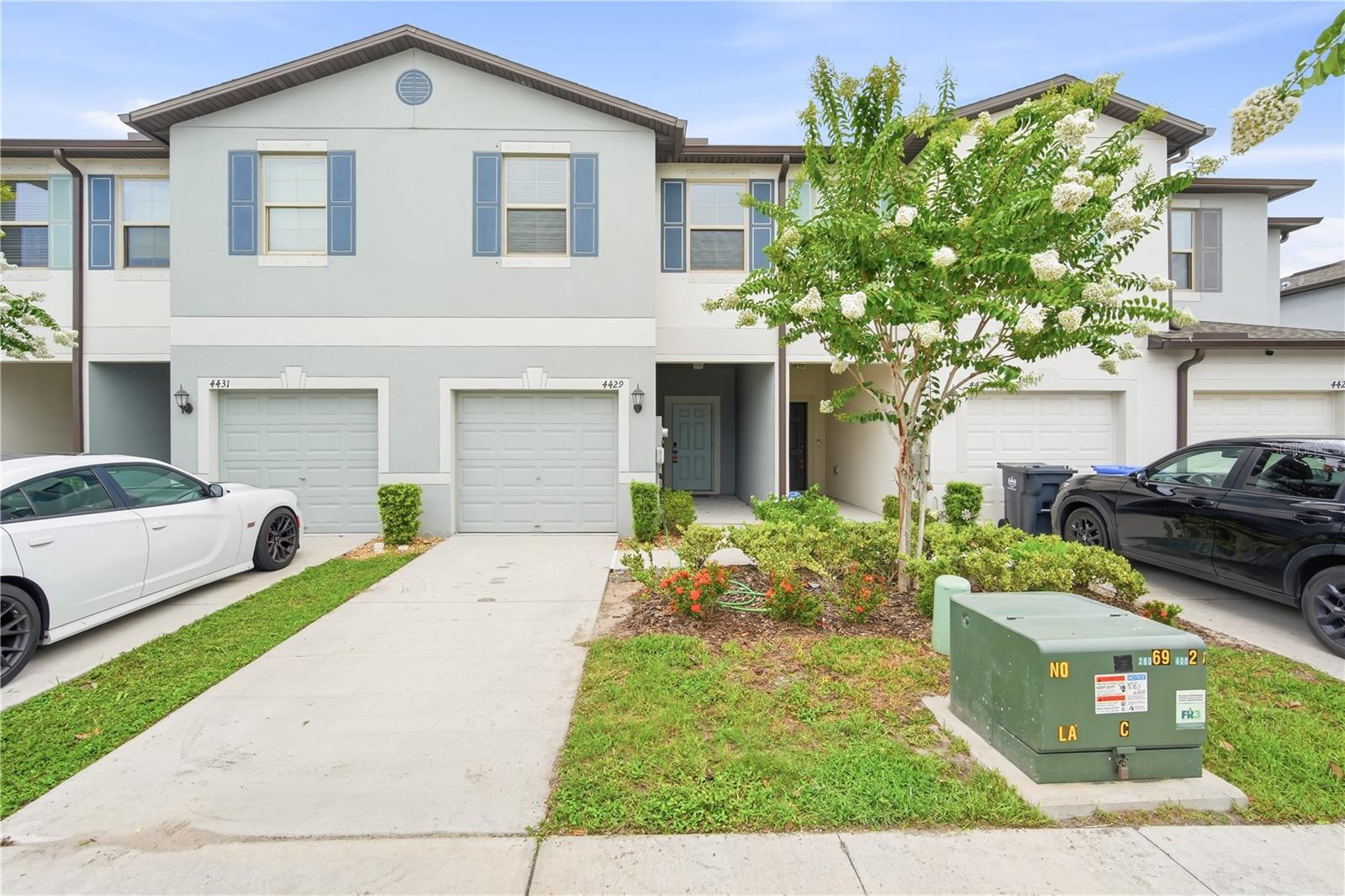 4429 Globe Thistle Dr, Tampa