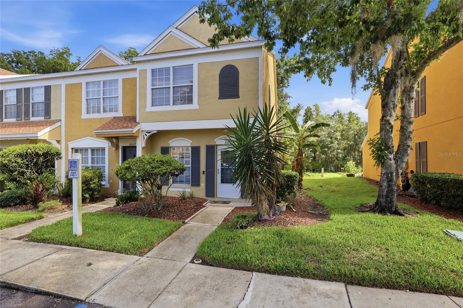 30029 Granda Hills Ct, Wesley Chapel
