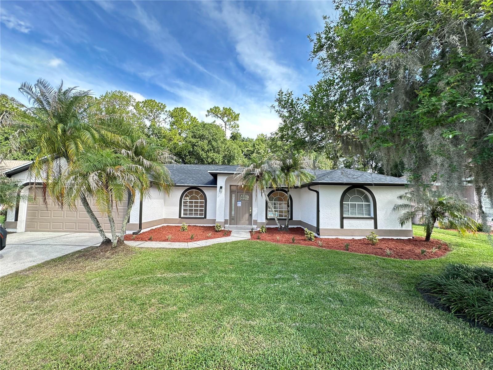 26035 Loblolly Ln, Land O Lakes
