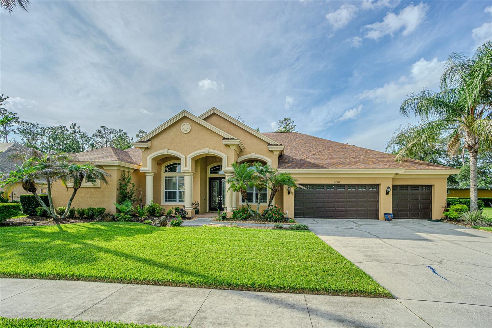 27447 Water Ash Dr, Wesley Chapel