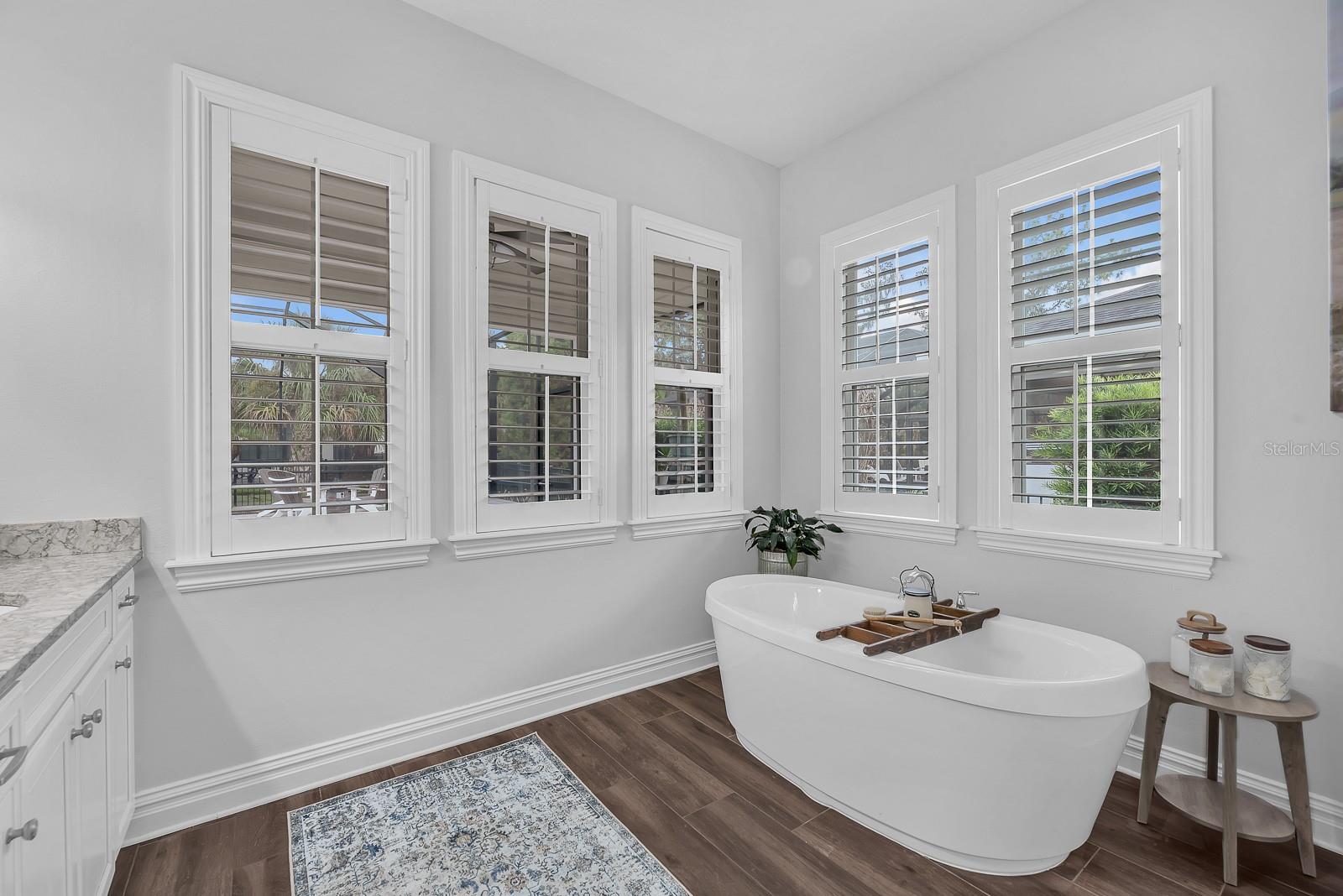 5202 ALAFIA FALLS DR