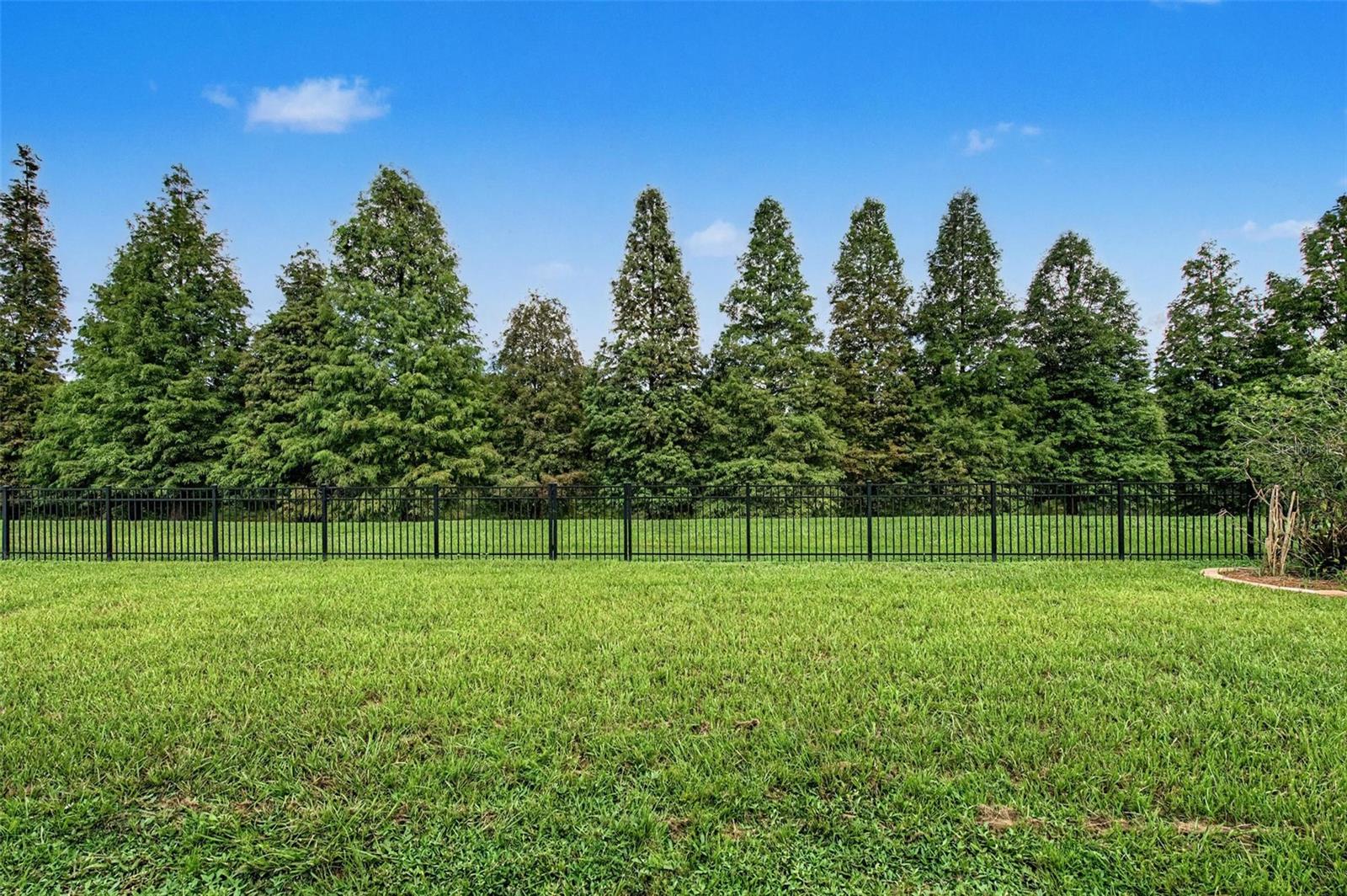 2622 RED FERN DR