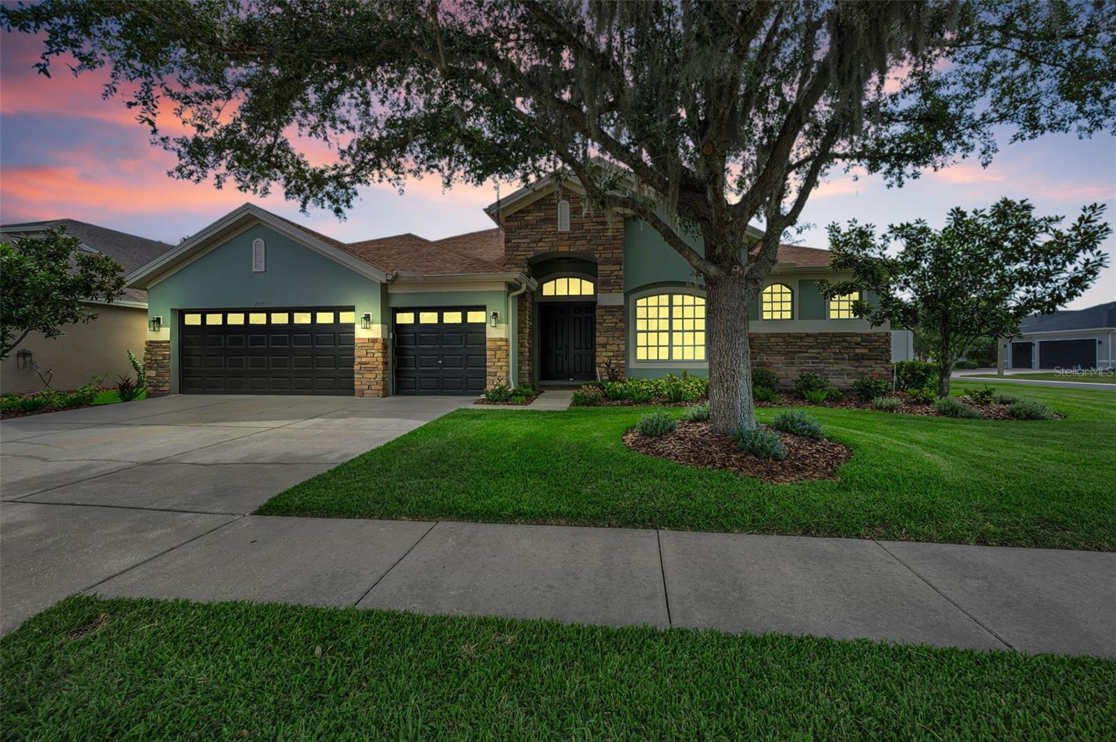 1629 Salmonberry St, Wesley Chapel