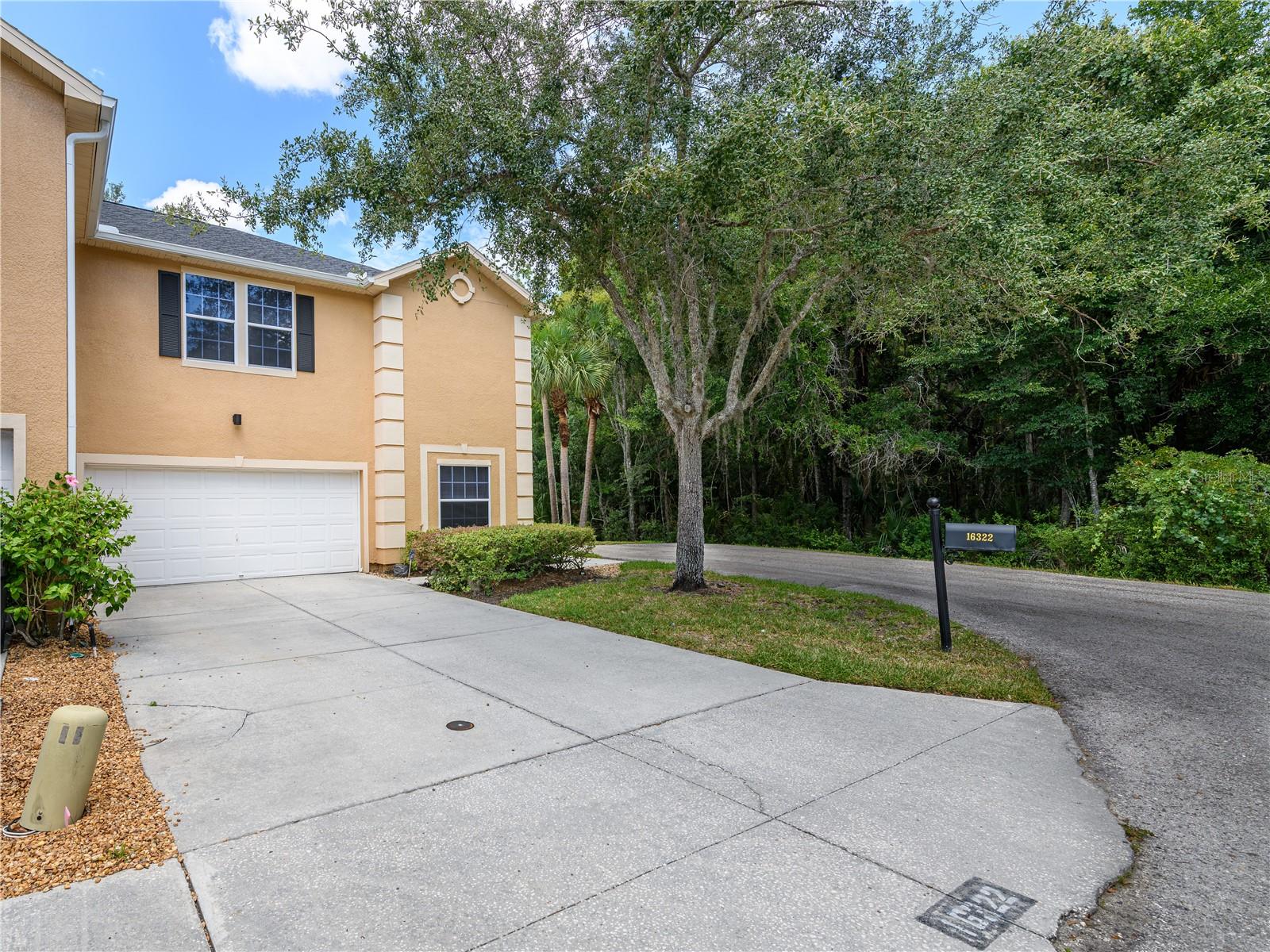 16322 Parkstone Palms Ct, Tampa