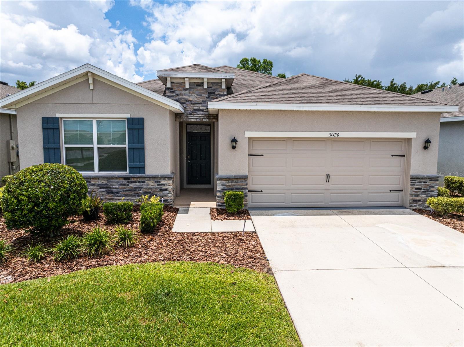 31420 Tansy Bnd, Wesley Chapel