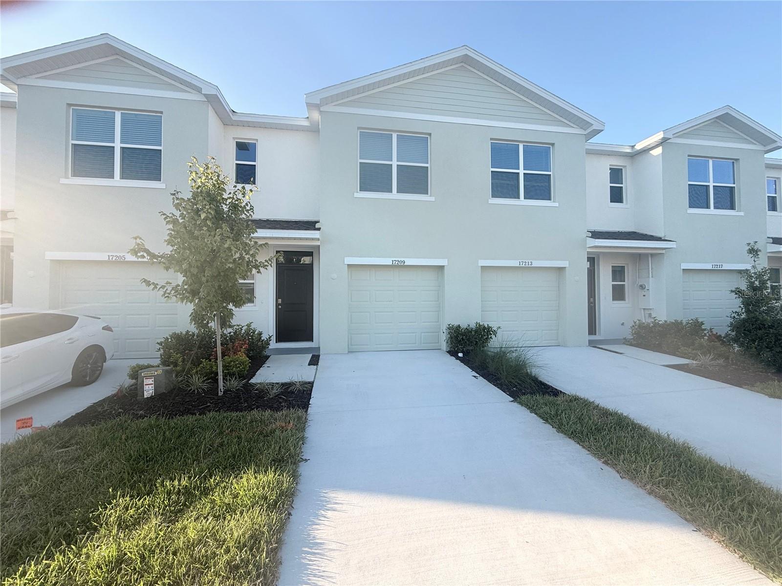 17209 English Chestnut Way, Land O Lakes