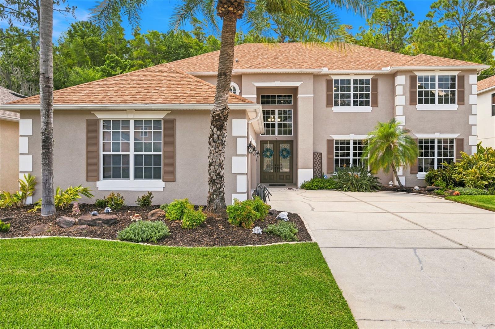 3449 Loggerhead Way, Wesley Chapel