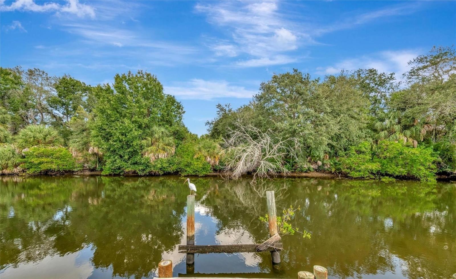 236 N Saint Thomas Cir, Apollo Beach