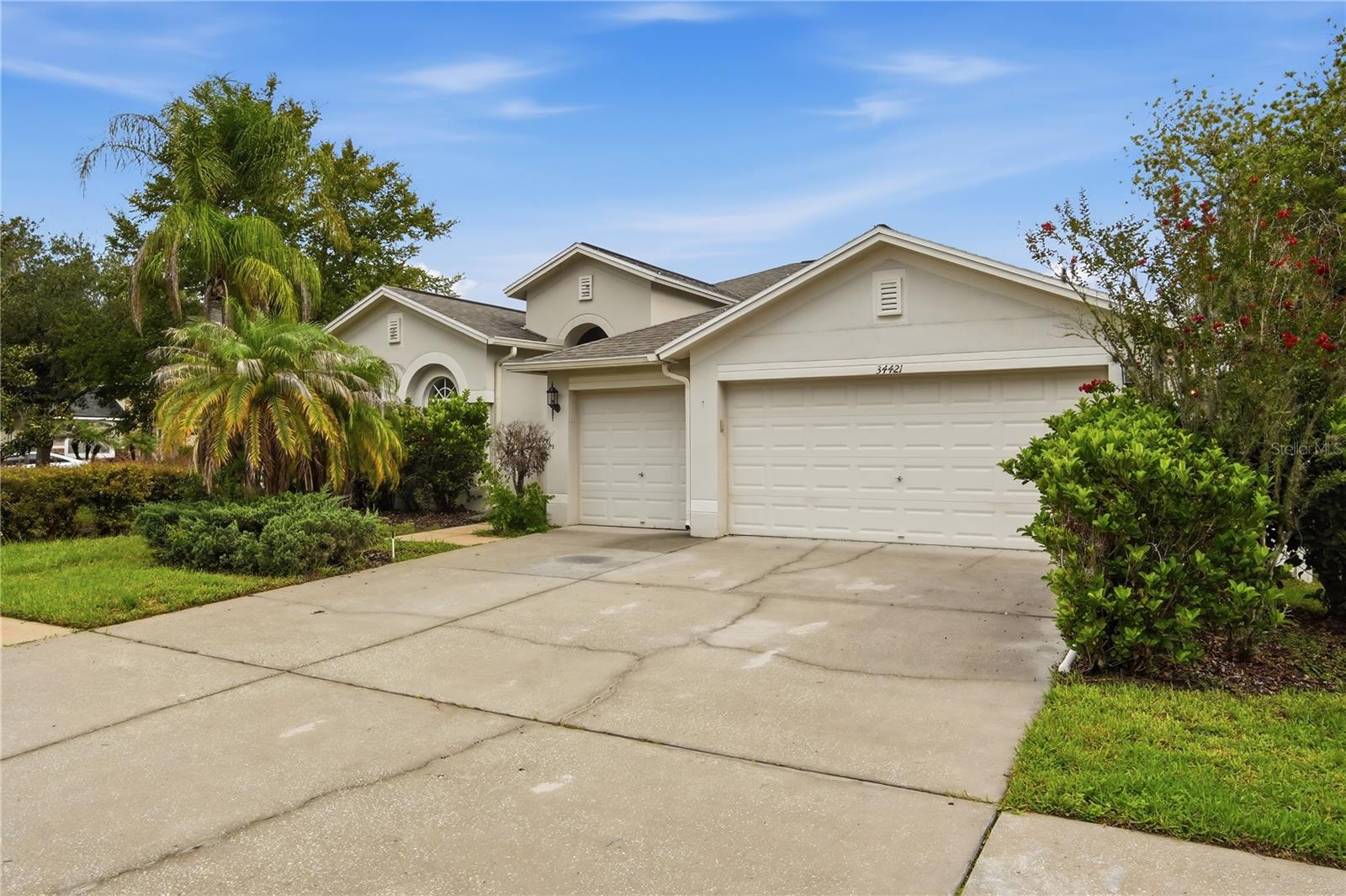 34421 Blue Ash Ct, Wesley Chapel