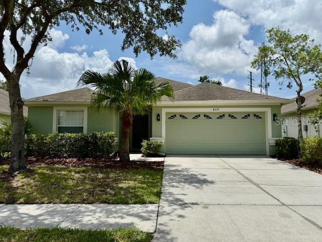 4035 Langdrum Dr, Wesley Chapel