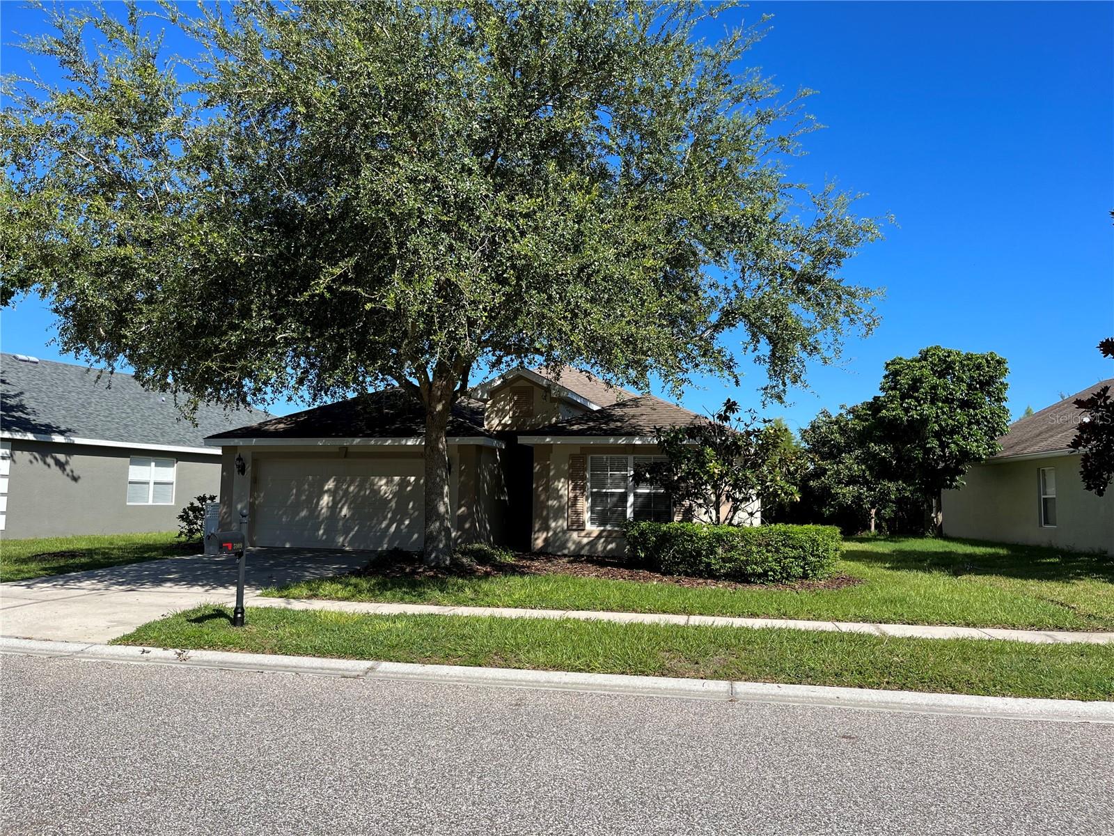 5909 Sweet William Ter, Land O Lakes