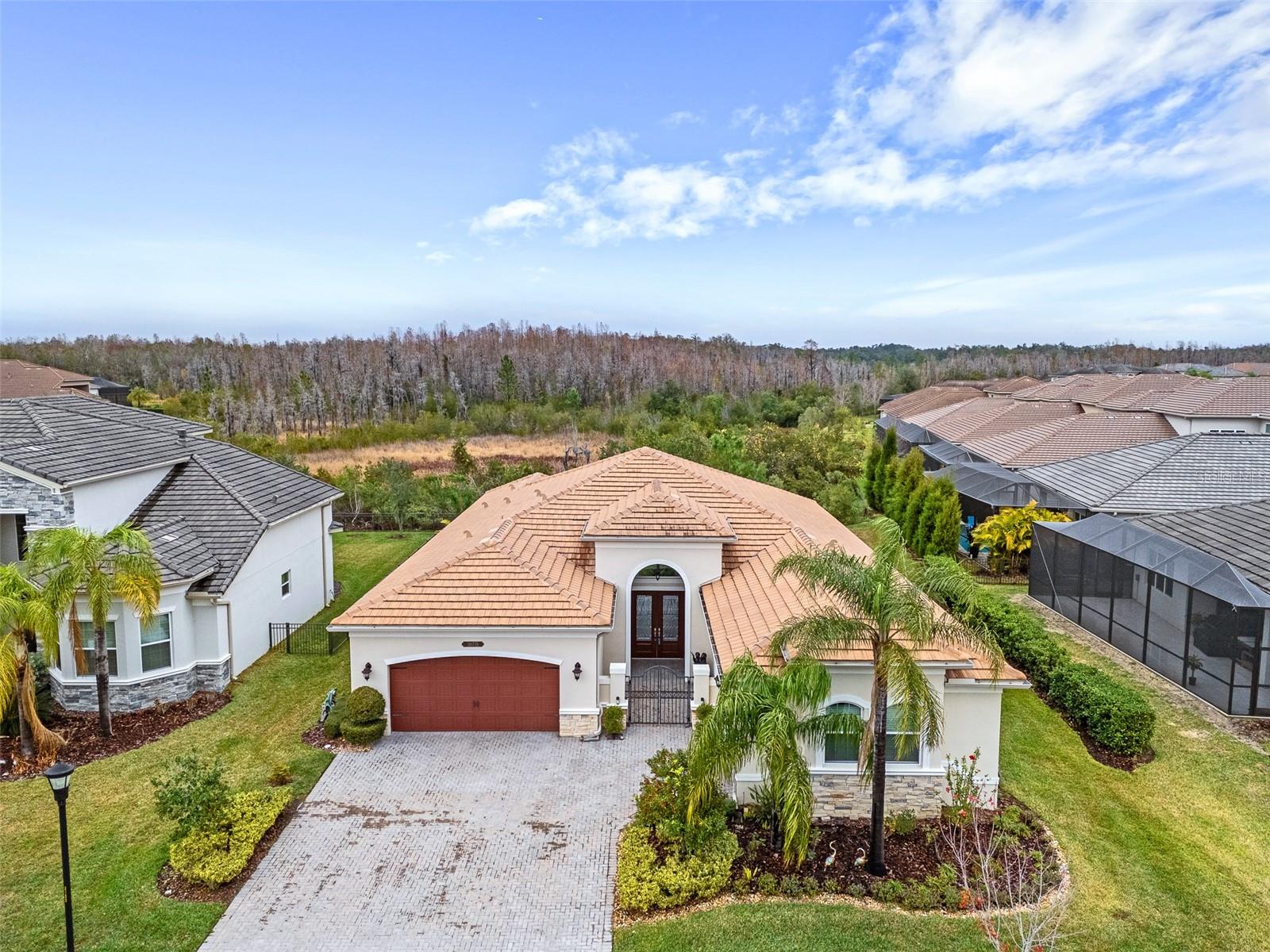 30715 Tumbleberry St, Wesley Chapel