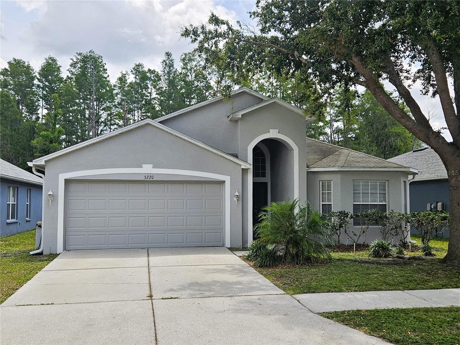 3220 Clover Blossom Cir, Land O Lakes