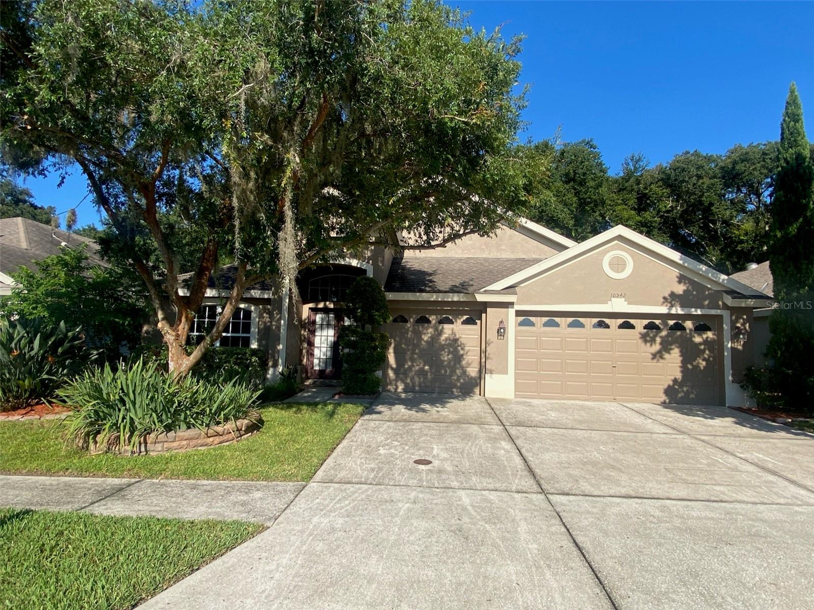 10542 San Travaso Dr, Tampa