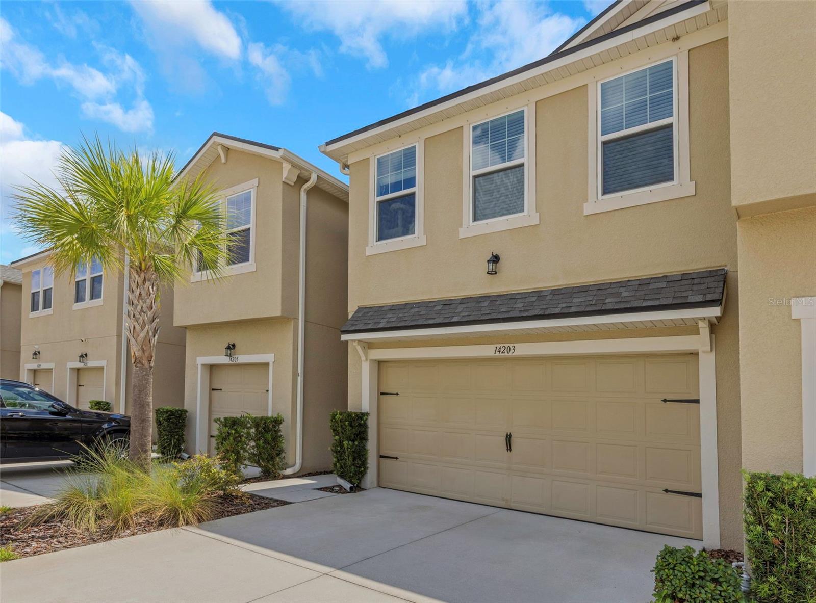 14203 Damselfly Dr, Tampa